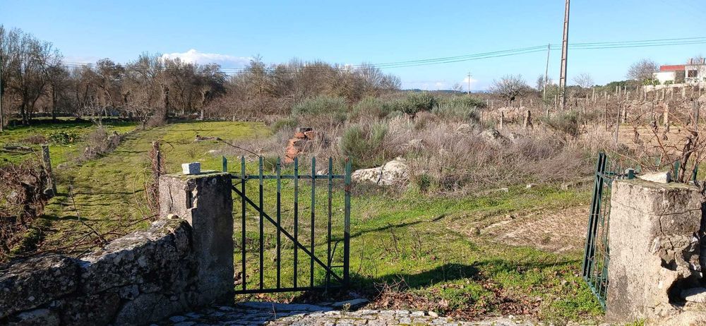 Terreno agrícola 2.734 m² com poço – Malta, Pinhel | €15 000