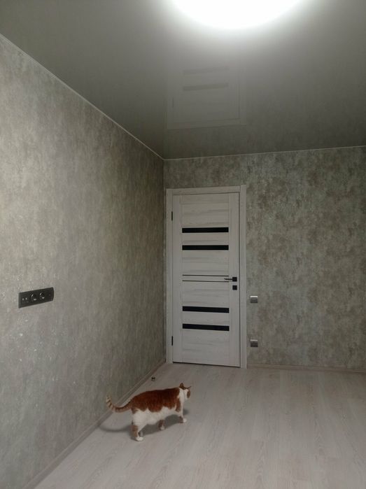 Ремонт квартир , домов .