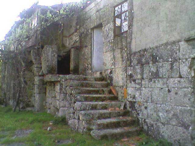 Quinta Paradisíaca !