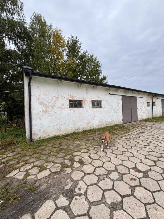 Hala Magazynowa Magazyn 160/180 m2 Łuków