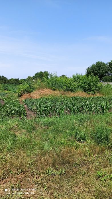 Приватизована земельна ділянка під забудову