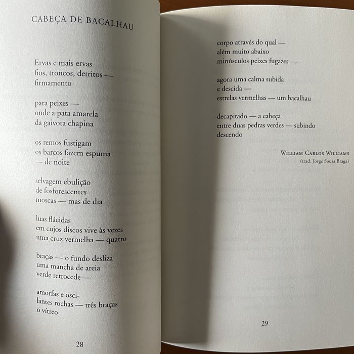 Jorge Sousa Braga - Animal Animal : Um Bestiário Poético