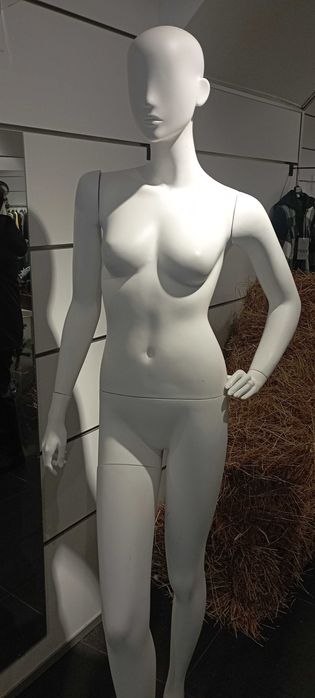 Manequim Feminino tamanho36