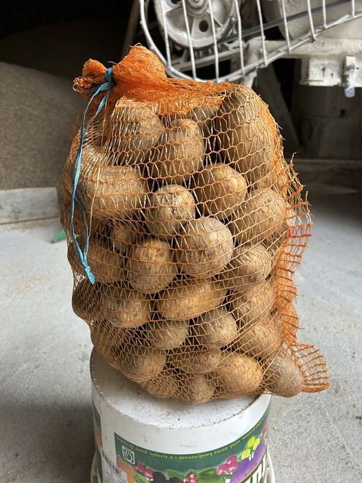 Ziemniaki odmiana lili prosto od rolnika