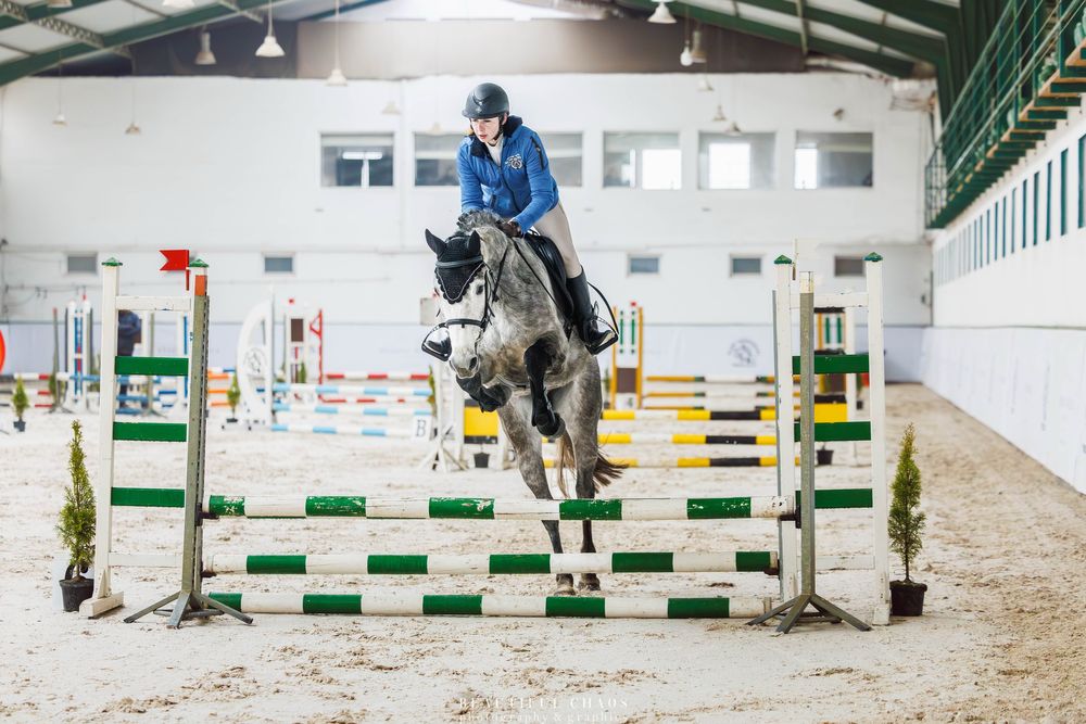 5-letnia startująca klacz ujeżdżenie/skoki CZYSTY TUV