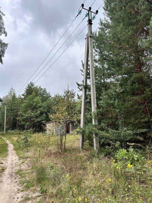 Земельна ділянка 3га с. Дзвінкове Васильківський р-н