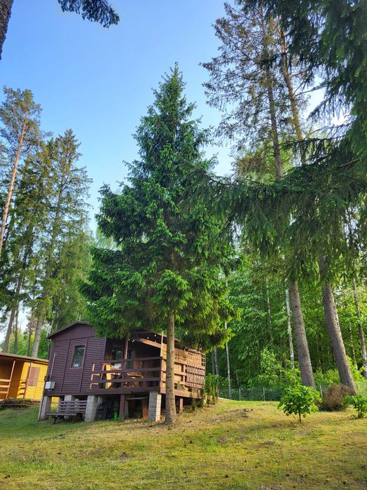 Promocja! Domek letniskowy nad jeziorem w Gołdapi Leśny Zakątek - Widok 2