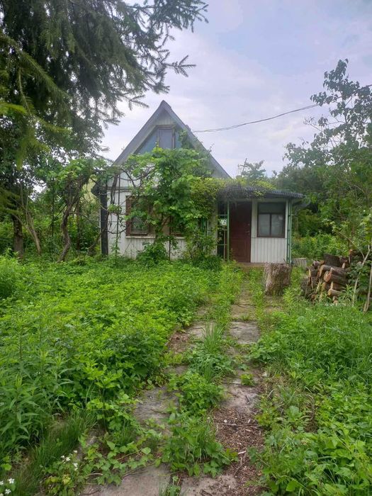 Продам Дачу НОВА УКРАЇНКА 17 км від Рівного
