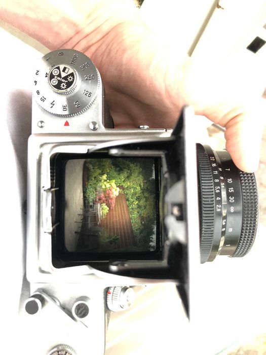 Pentacon Six TL / Carl Zeis Biometar 80mm f2.8 / metered prism / waist level viewfinder