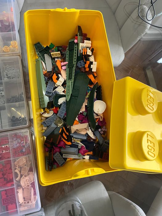 Legos Variados (flores, animais…)