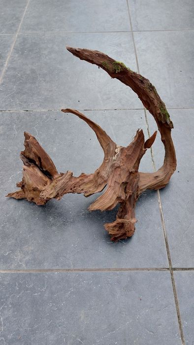 3 troncos aquário Red Wood