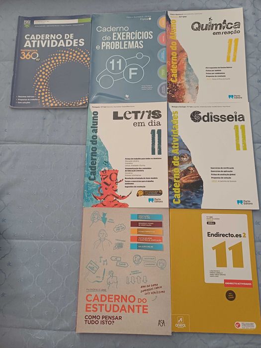 Cadernos atividades/Aluno 11. ano
