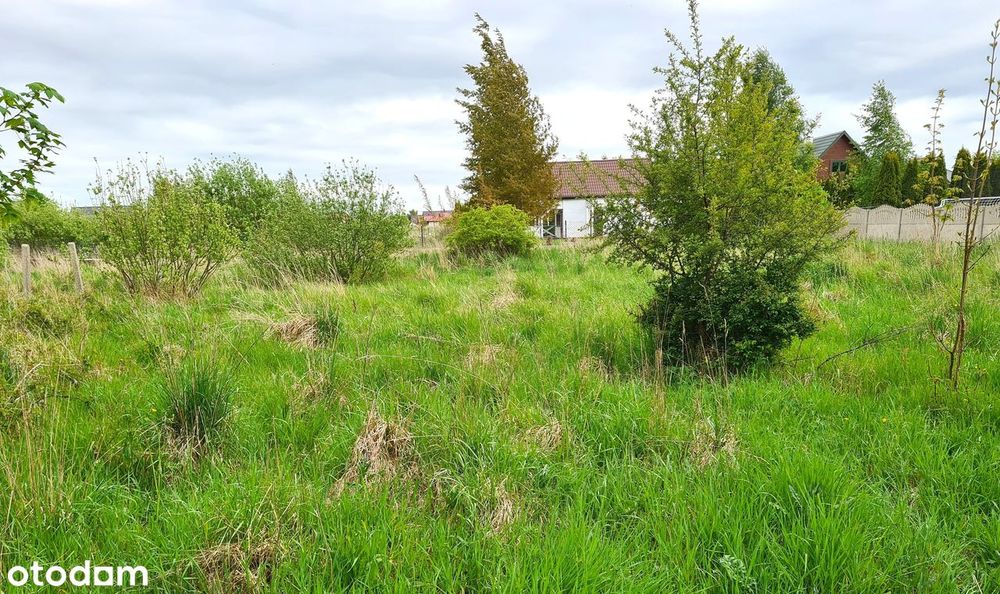 Działka budowlana Sarbinowo - Widok 2