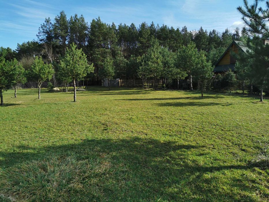 Działka rekreacyjna wraz z lasem w pobliżu rzeki Narew
