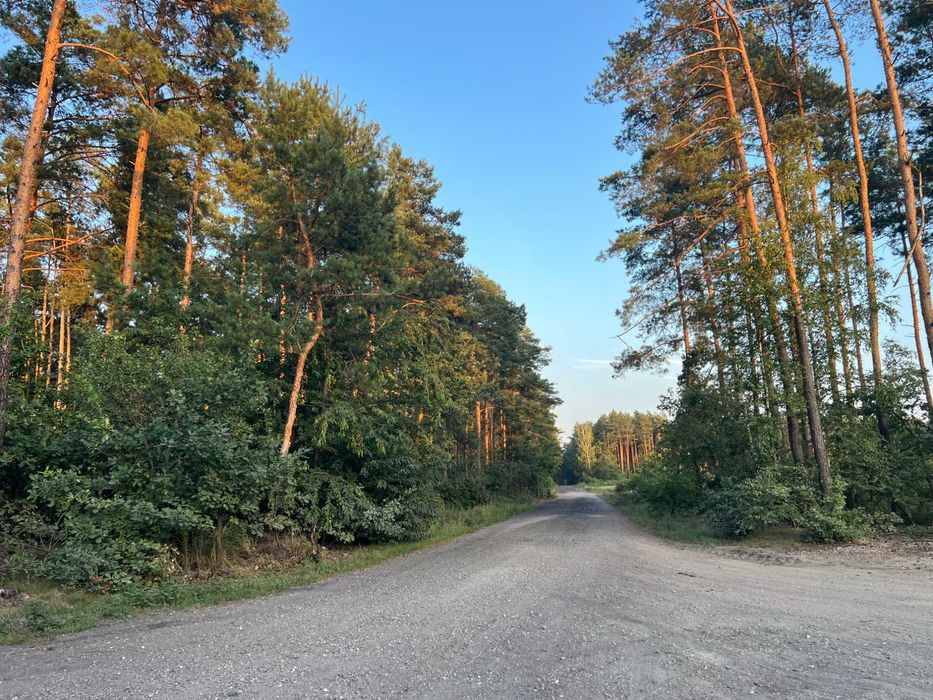 Działka z WZ pod domek całoroczny przy jeziorze i rezerwacie, las staw