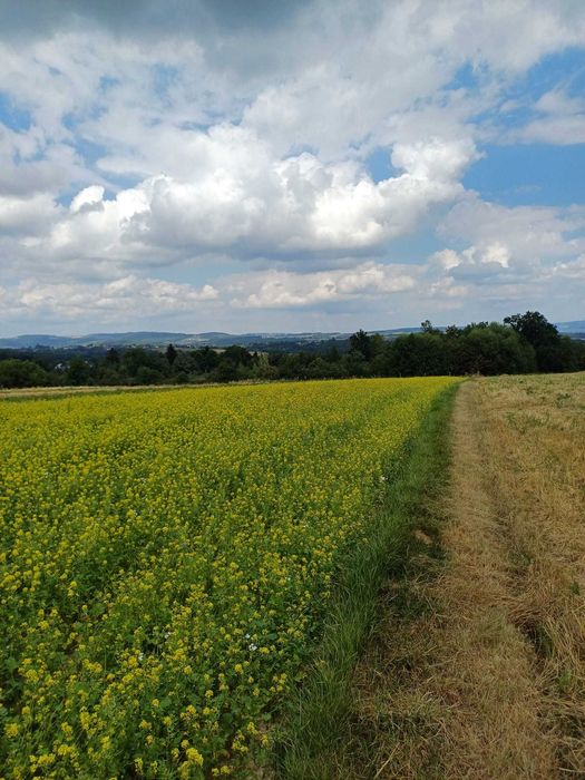 Widokowa działka w górach z widokiem na Kotlinę Sadecką oraz na Tatry - Więcej