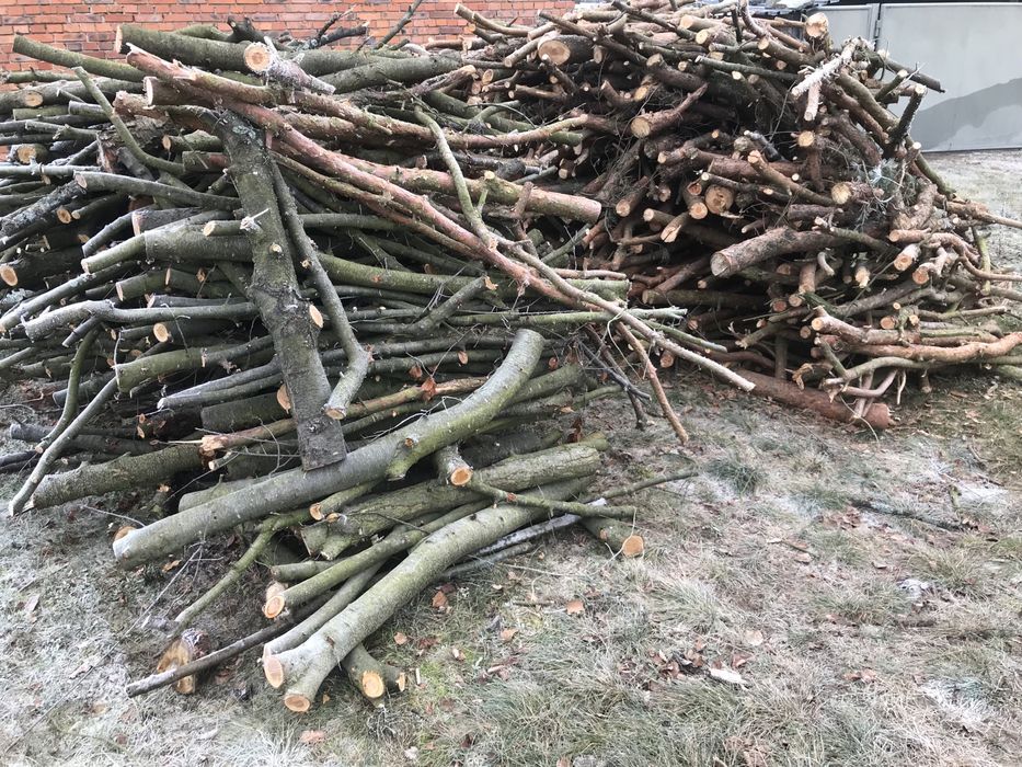 Drewno opałowe, sosna czeremcha