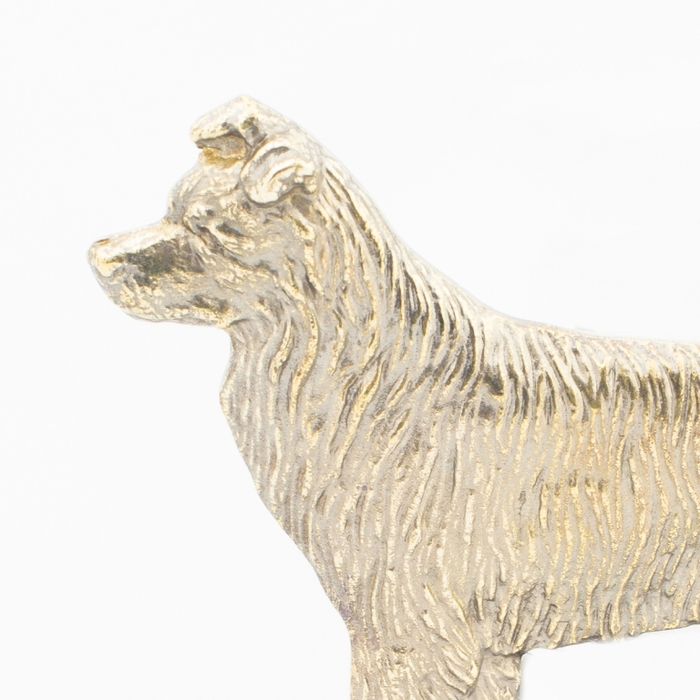 Border Collie welcome plakietka Art-Dog