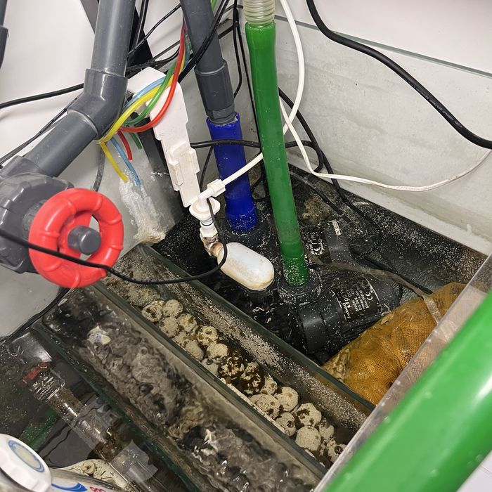 Akwarium Morskie 560L - Komplet z pełnym osprzętem. Maxspect itp.