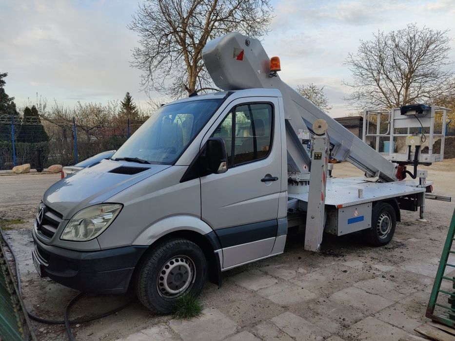 Wycinka Drzew, koszenie traw, wywóz odpadów zielonych, trawy, drewno