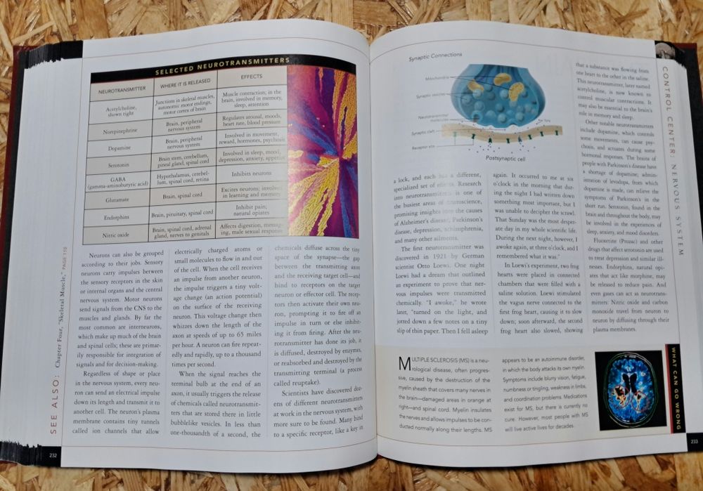 Body: The Complete Human