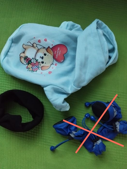 Zestaw dla małego pieska