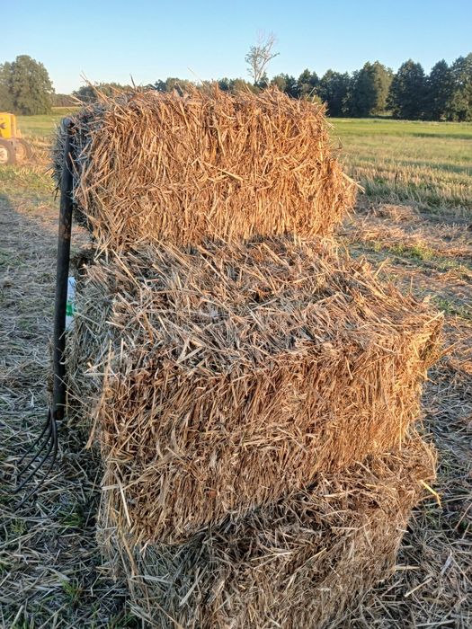 Słoma żytnia kostka oraz siano