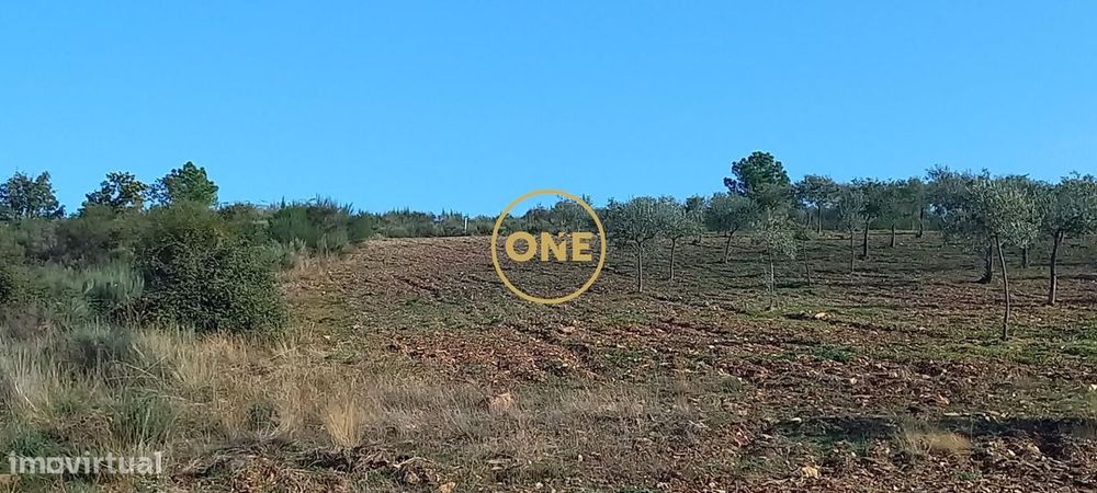 Terreno rústico/agrícola com 1,7 hectares, em Argozelo, Vimioso, Braga — Argozelo, Bragança