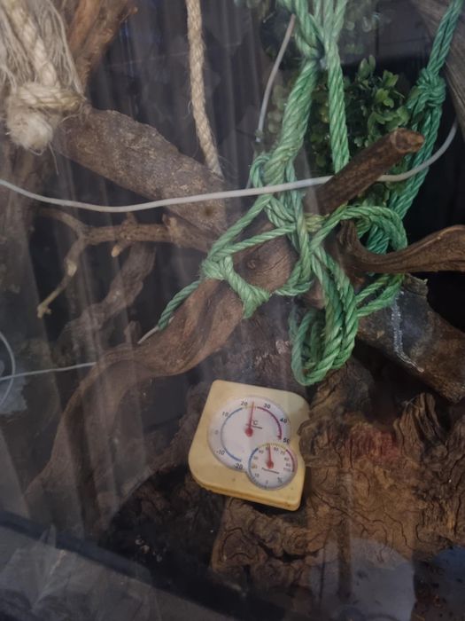 Terrarium szklane