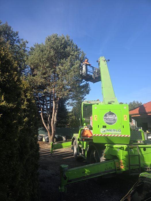 Wycinka drzew, prace alpinistyczne