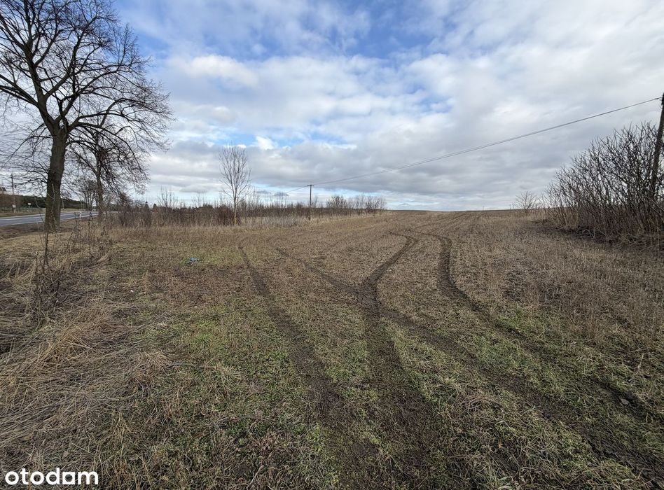Teren inwestycyjny 3,87 ha ( pozwolenie na budowę, MPZP ) - Widok 4