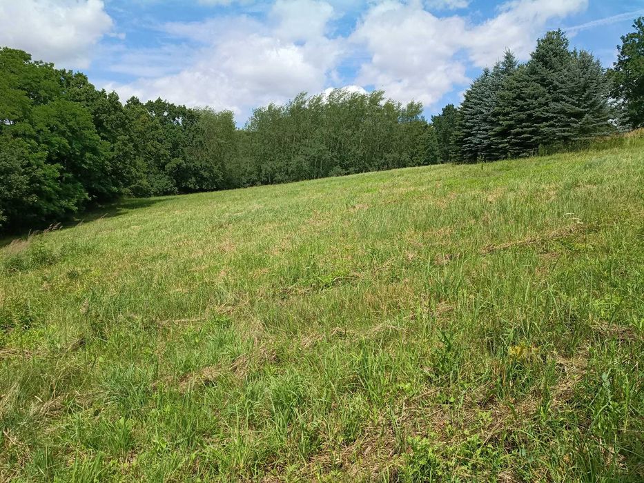 Działki budowlane w Maszkowie Gmina Iwanowice
