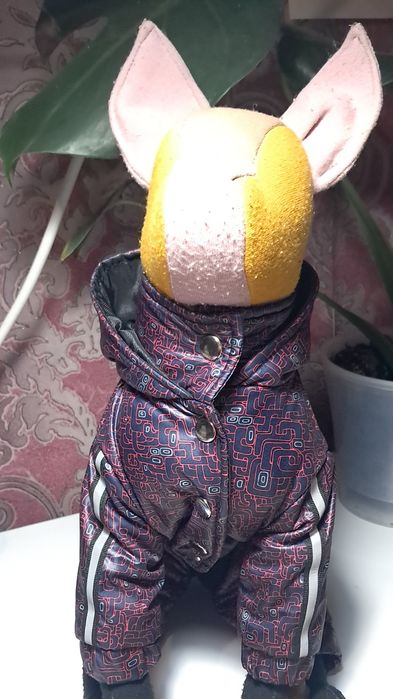 Зимовий комбінезон