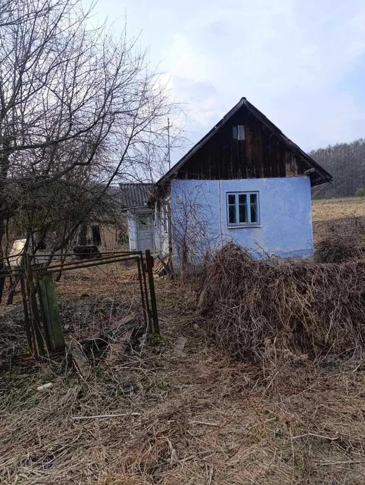 Нерухомість будинок