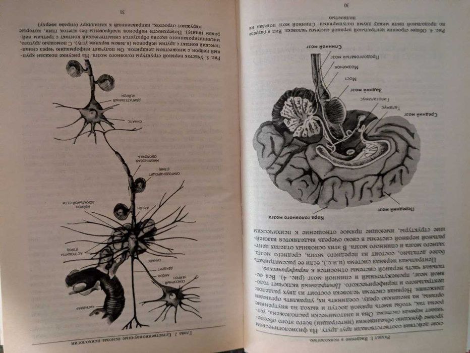 Р С Немов Психология в 3 книгах Общие основы психологии 2000 год