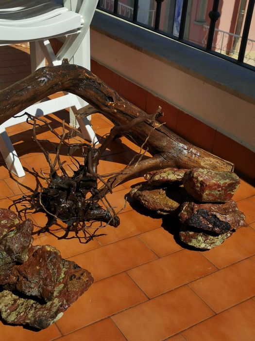 Layout aquário raiz/pedras