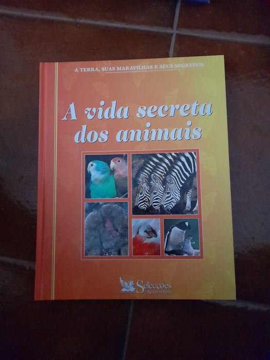 Livros varios de preço varios