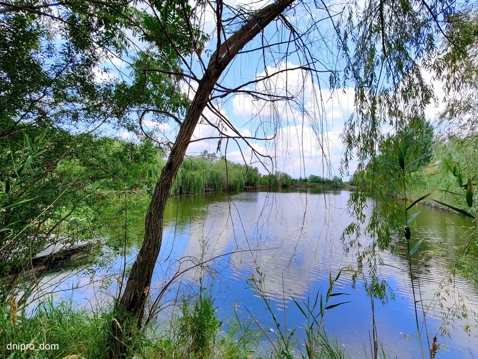 Продам турбазу с участком 4,6 га с берегом Самара Подгородное Sun Ray