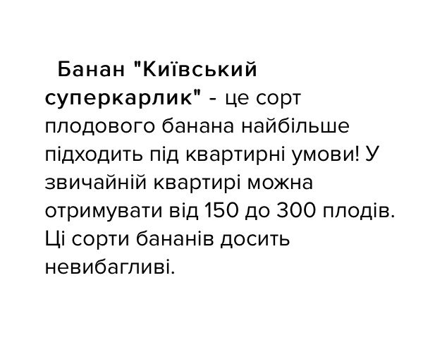 Банан Київський суперкарлик