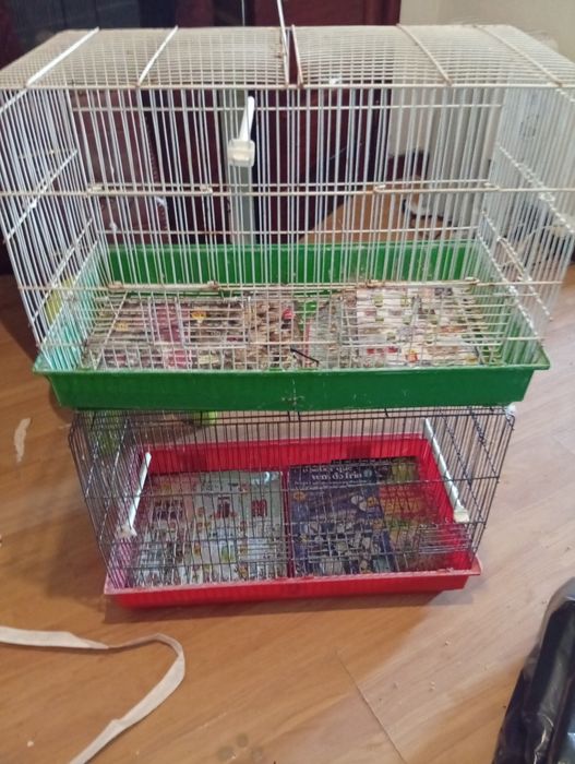 Viveiros para canários