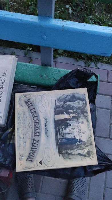 Платівки до грамофона ті що на фото