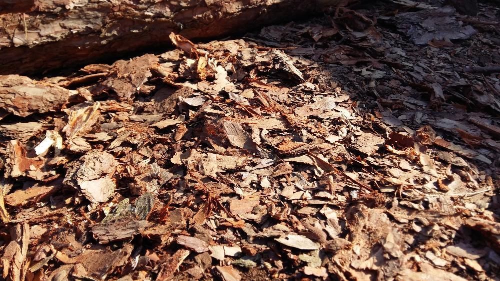 Kora ogrodowa luzem/worki