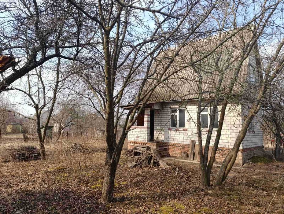 Камін ! Груба ! Свердловина ! Поруч ліс!