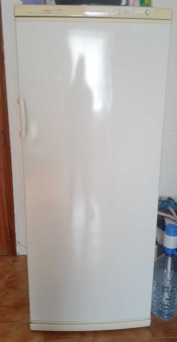 Arca vertical congeladora
