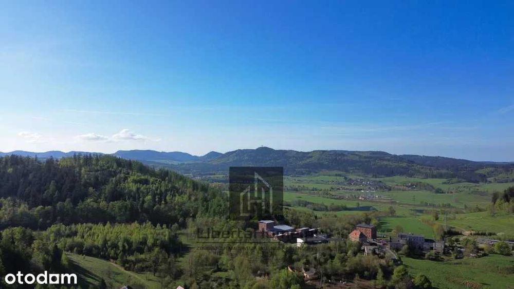 Dzialki budowlane 60zl/m2 Boguszow Chełmie Mniszek bez Prowizji 4367m2