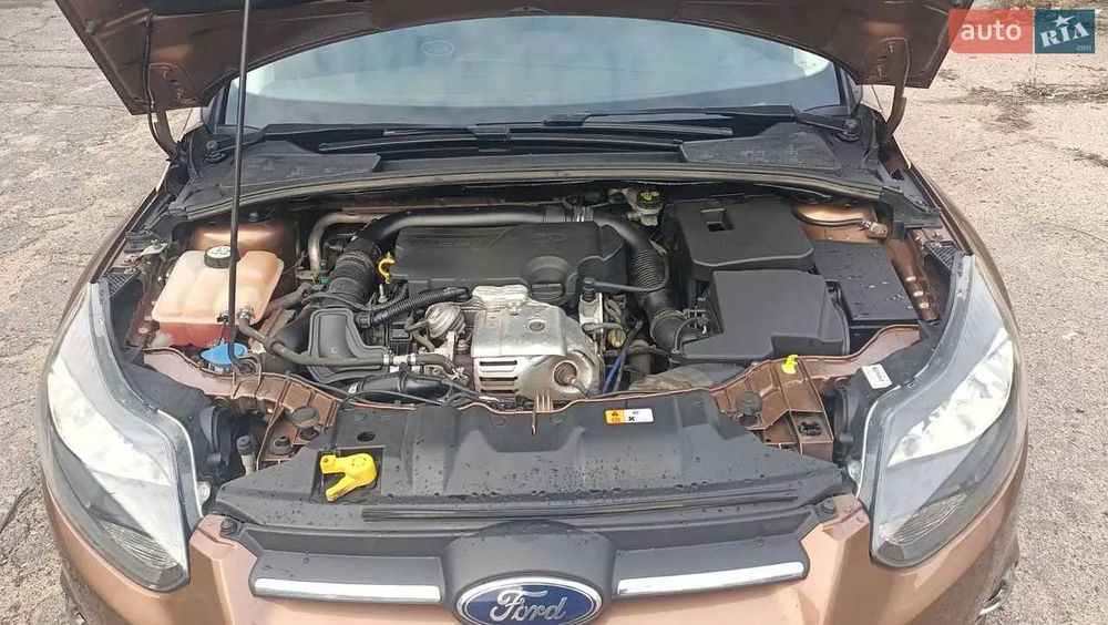 Ford Focus 2013 VIN WF0LXXGCBLDR03870 фото оголошення 15 з 17