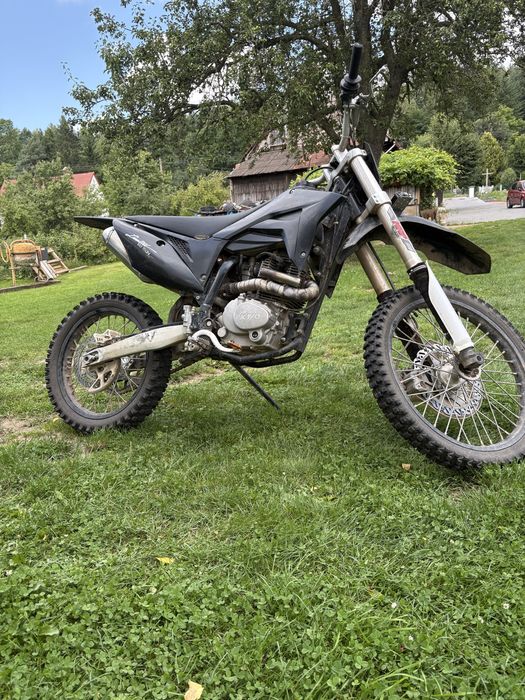 Kayo t4 250 2023