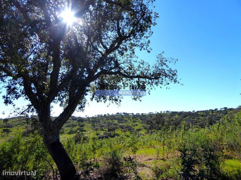 3.500.000m2 Herdade próxima Alqueva. Portugal, Évora, Portel.