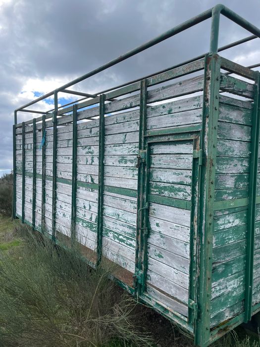 Reboque para animais