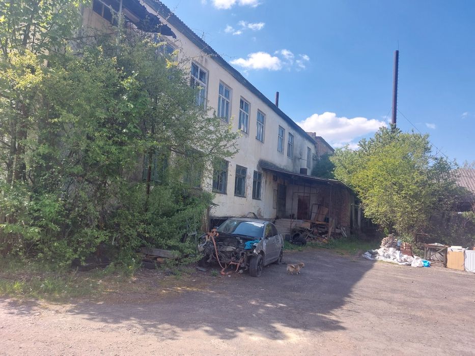 Продається Завод  2000 м2, Закарпаття Берегівський р-н ., с.Онок